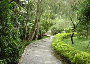 Parque Severo Gomes em Santo Amaro